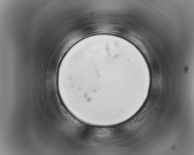 X0000099301338200805090945