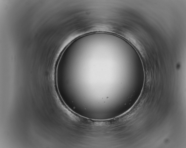 X0000099301339200805090945