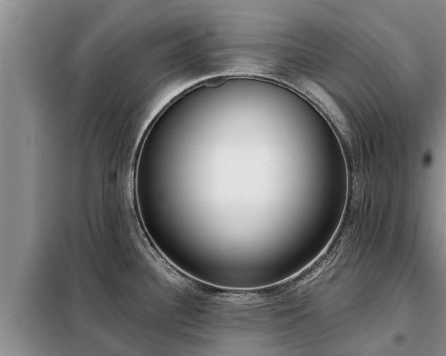 X0000099301340200805090945