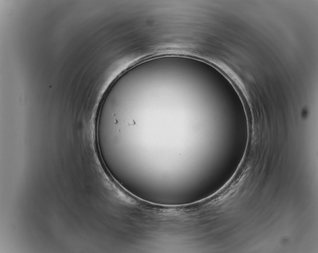 X0000099301341200805090945