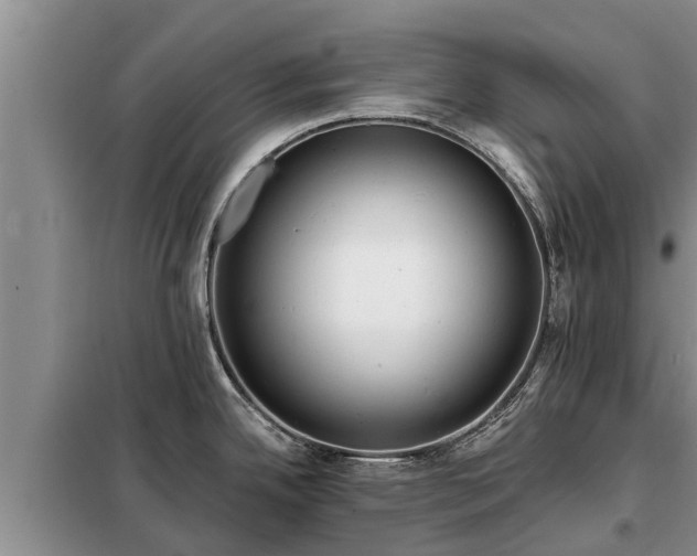 X0000099301342200805090945