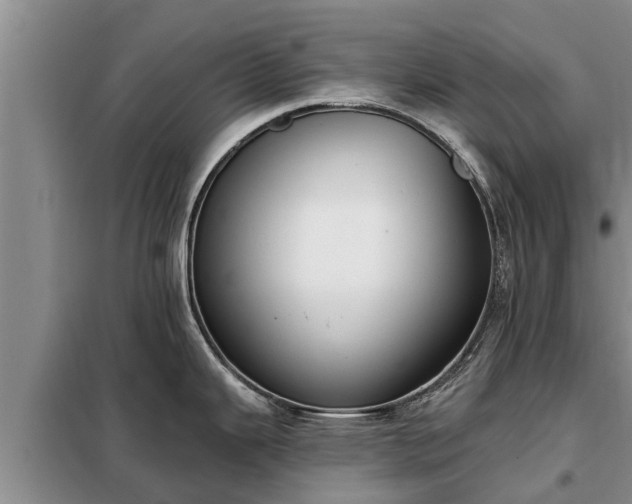 X0000099301343200805090945