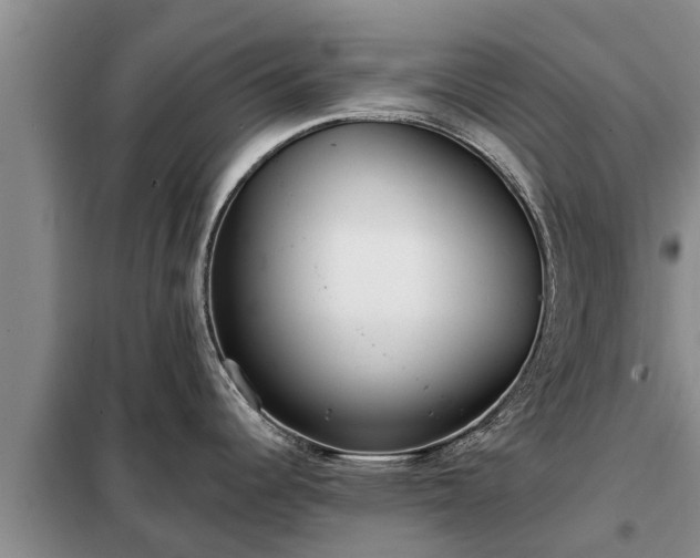 X0000099301344200805090945