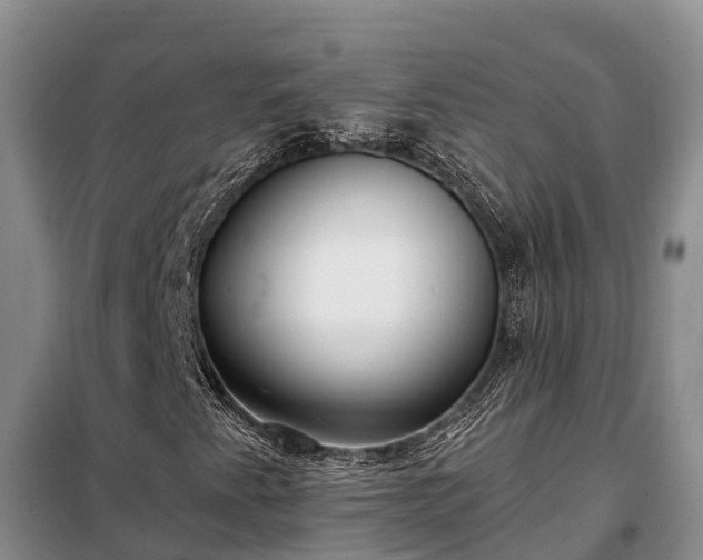 X0000099301345200805090944