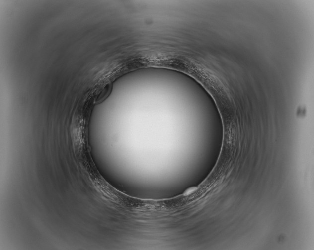 X0000099301346200805090944