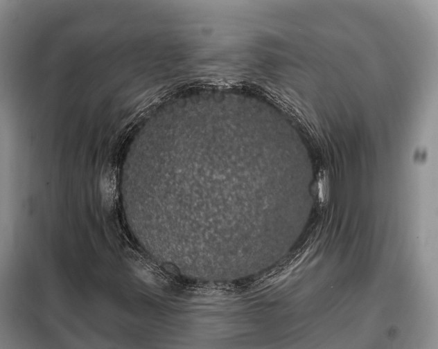 X0000099301347200805090944