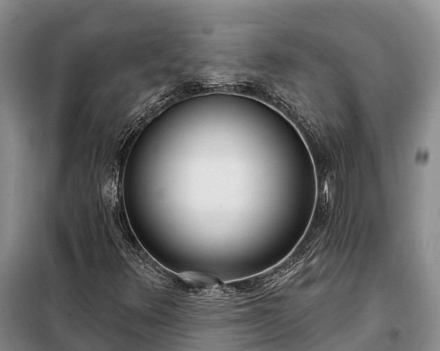 X0000099301348200805090944