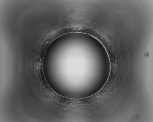 X0000099301349200805090944