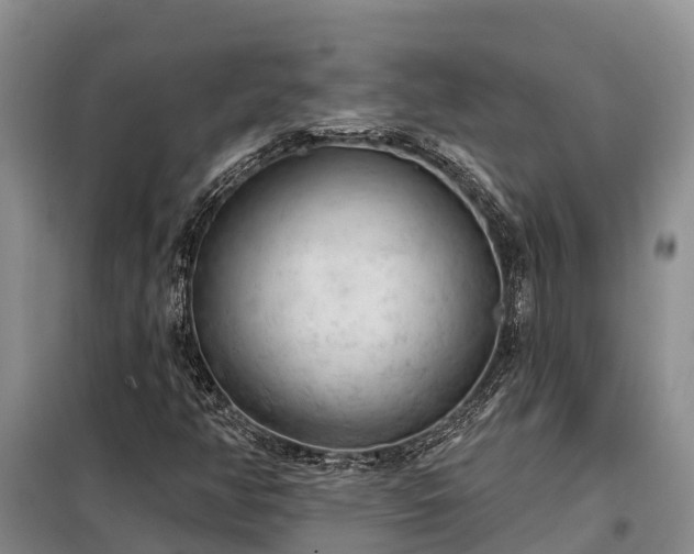 X0000099301350200805090944