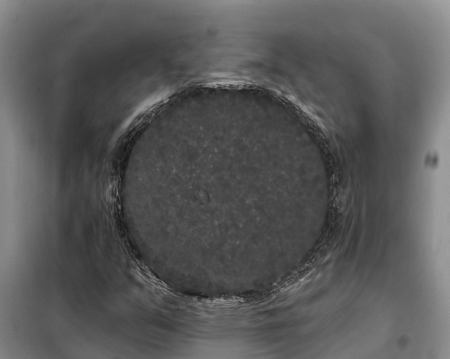 X0000099301351200805090944