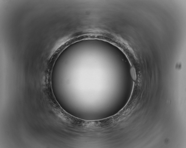 X0000099301352200805090944