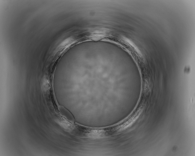 X0000099301353200805090944