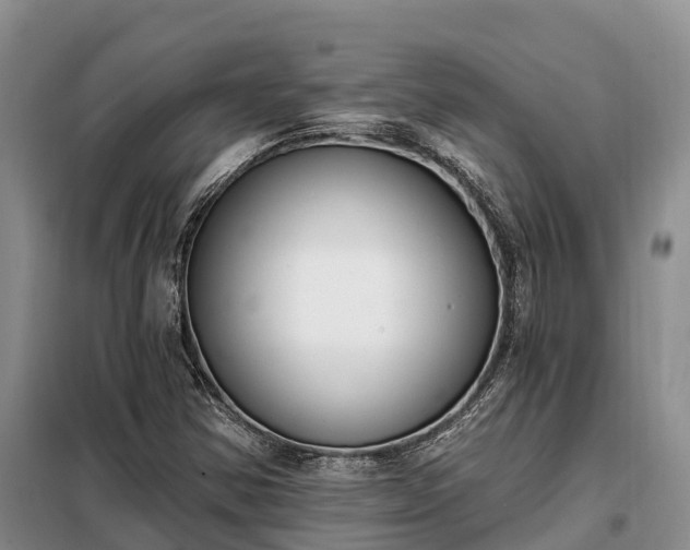 X0000099301354200805090944