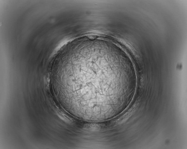 X0000099301355200805090944