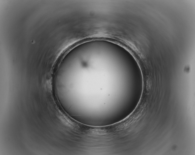 X0000099301356200805090944