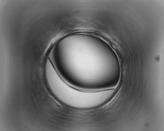 X0000099301357200805090944