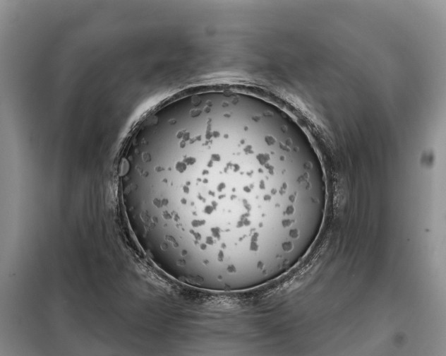 X0000099301358200805090944