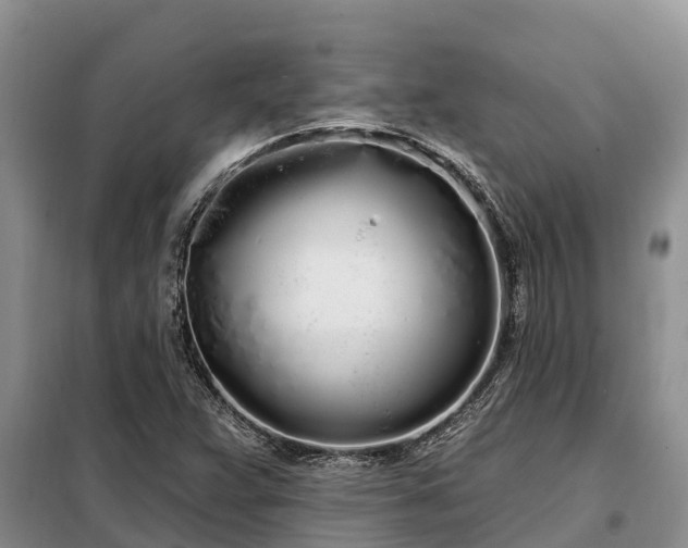 X0000099301359200805090944