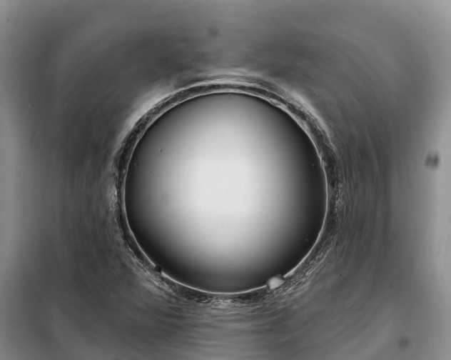 X0000099301360200805090944