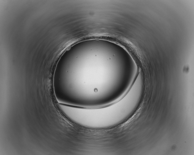 X0000099301361200805090944