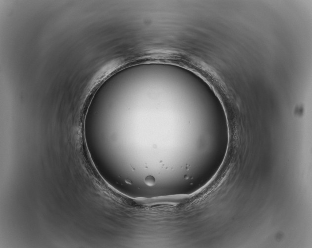 X0000099301362200805090944