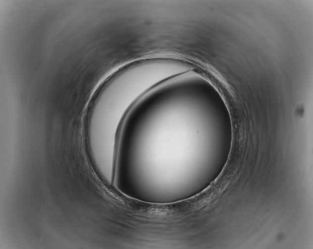 X0000099301364200805090944