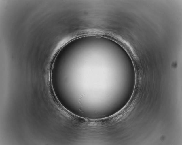 X0000099301365200805090944