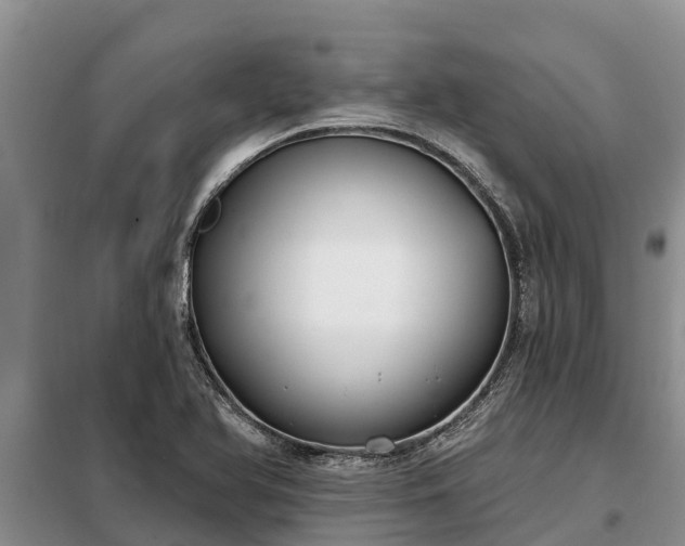 X0000099301366200805090944