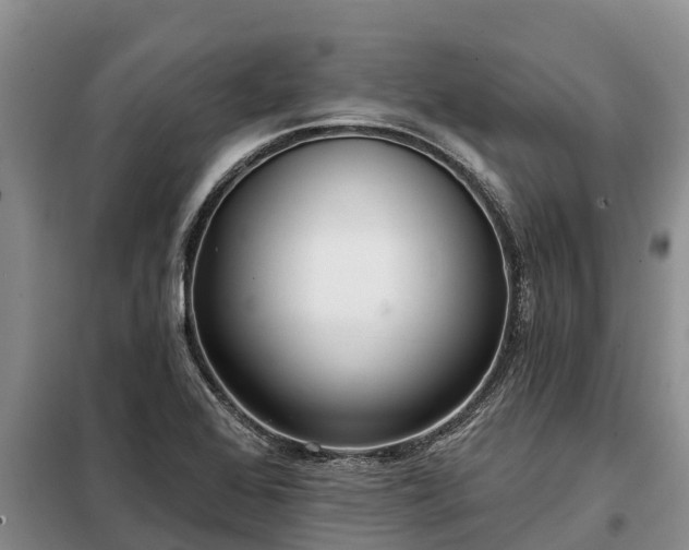 X0000099301368200805090944