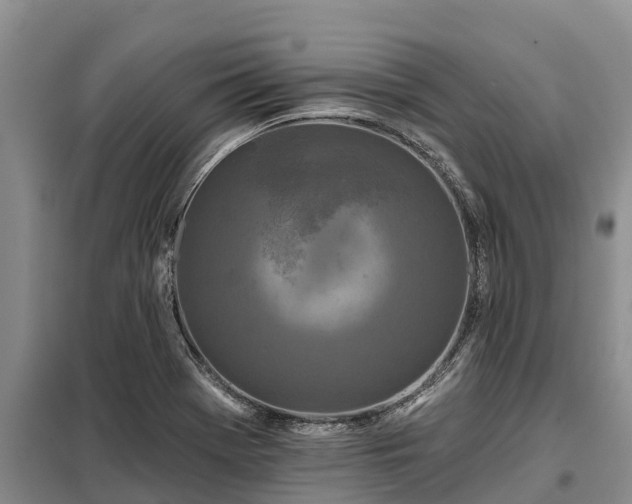 X0000099301369200805090944