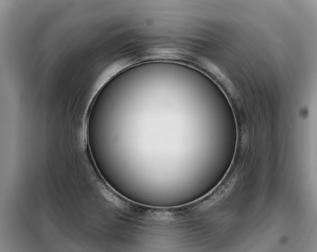 X0000099301370200805090944