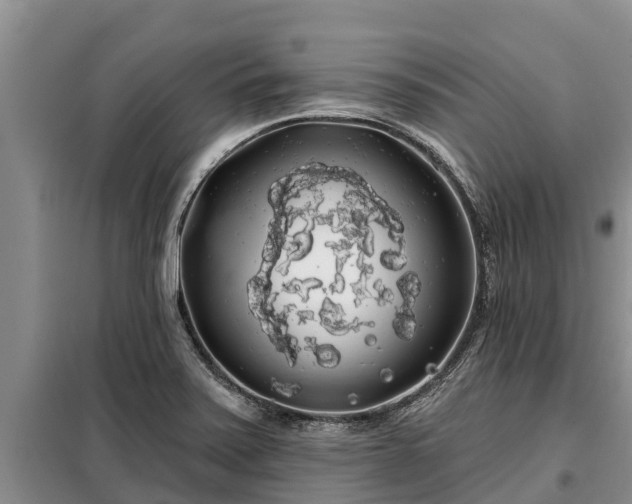 X0000099301371200805090944