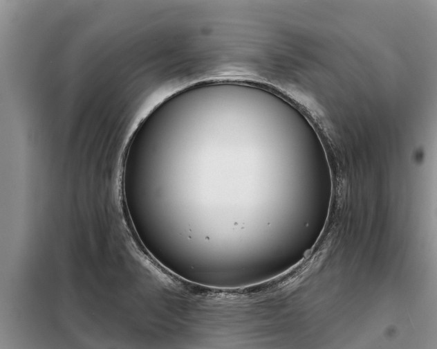 X0000099301374200805090944