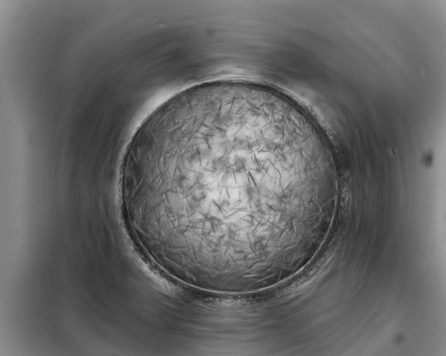 X0000099301375200805090944