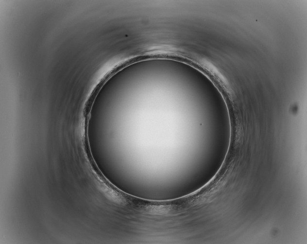 X0000099301376200805090944