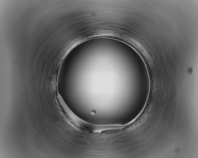 X0000099301377200805090944