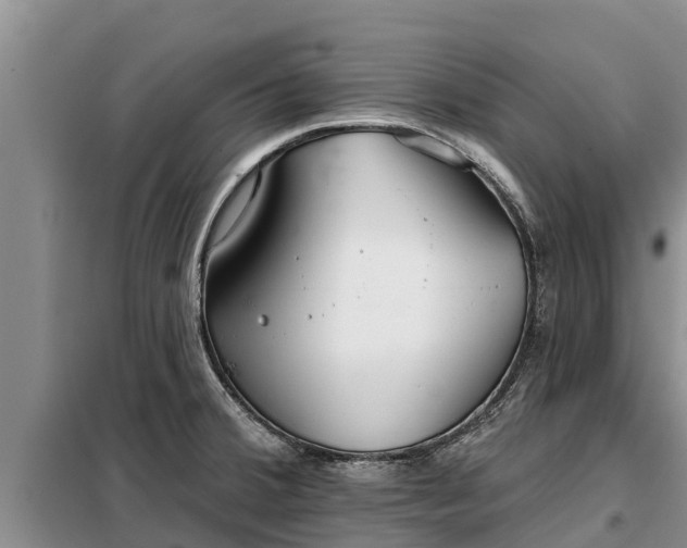 X0000099301380200805090944