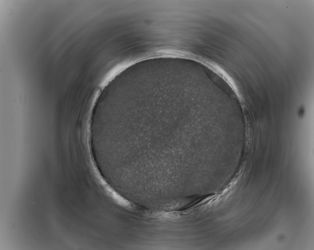 X0000099301381200805090944