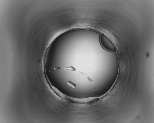 X0000099301382200805090944