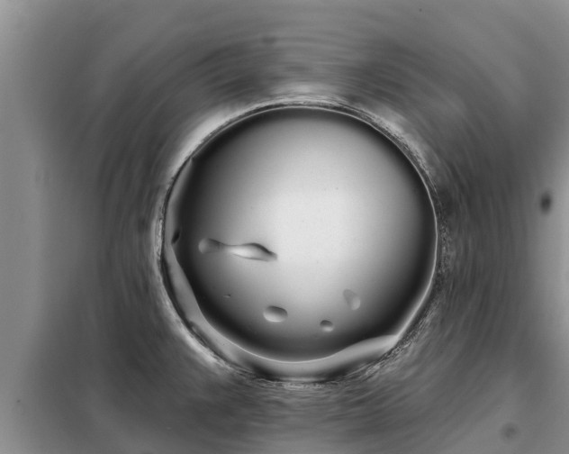 X0000099301383200805090944