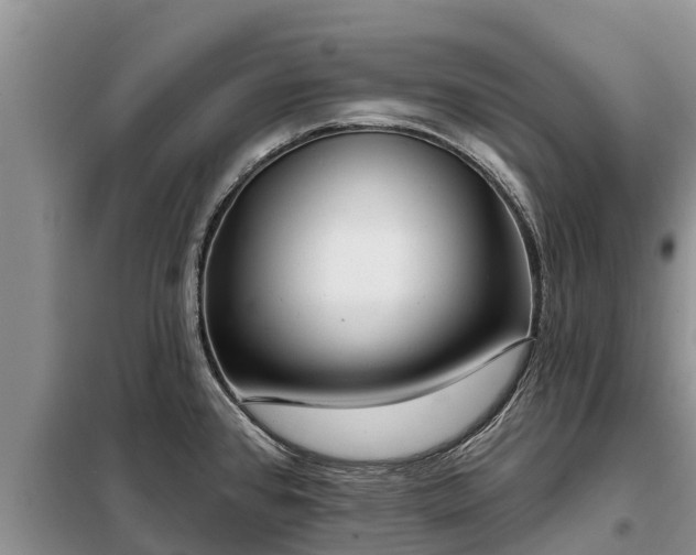 X0000099301384200805090944