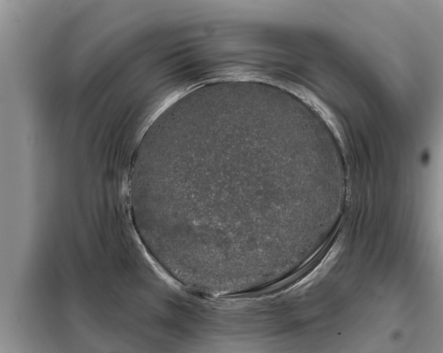 X0000099301385200805090944