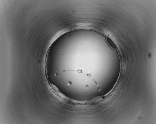 X0000099301386200805090944