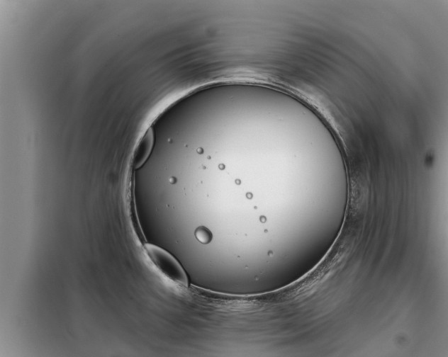 X0000099301387200805090944