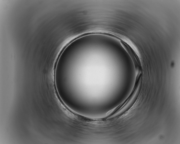 X0000099301388200805090944