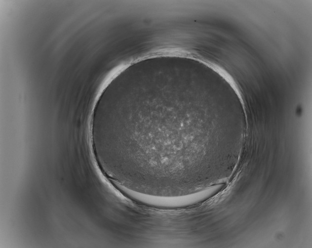 X0000099301389200805090944