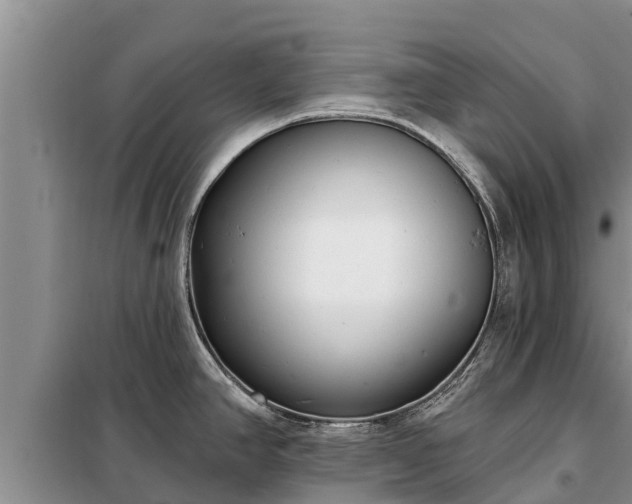 X0000099301390200805090944