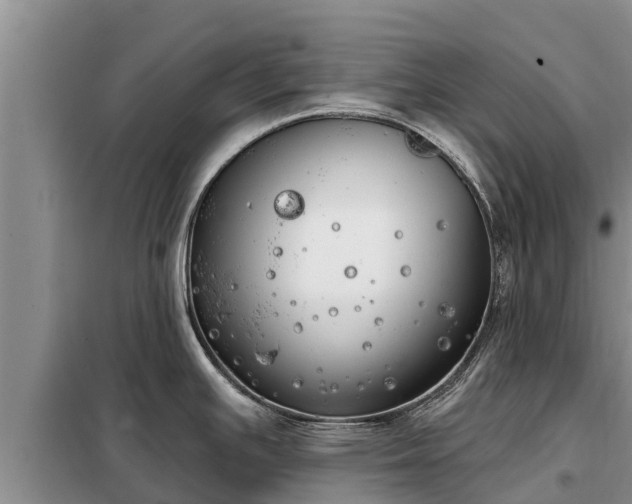 X0000099301391200805090944