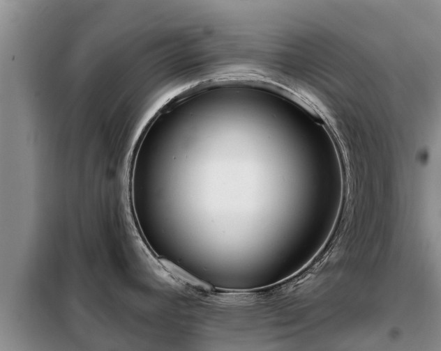 X0000099301392200805090944