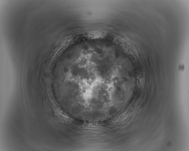 X0000099301393200805090943